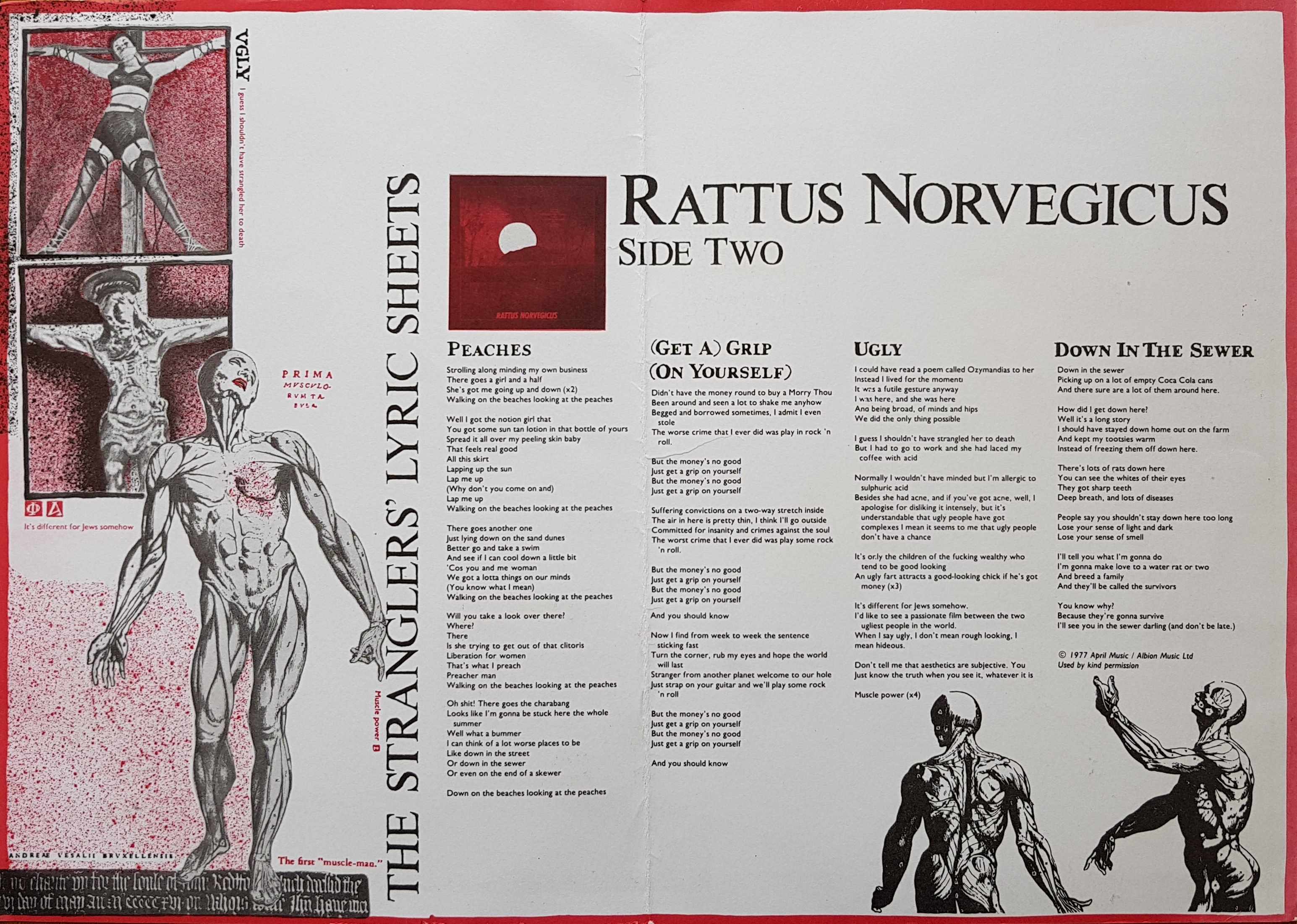 Back cover of RATLYCSH